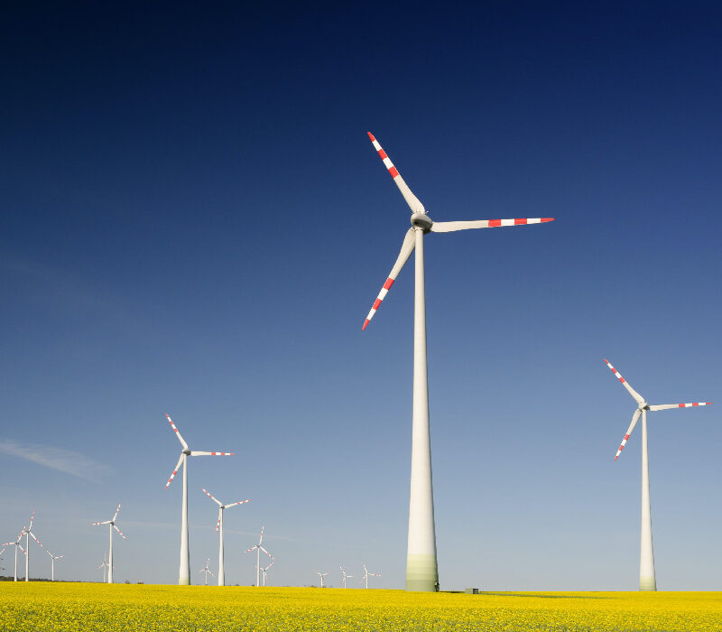 why sustainability matters