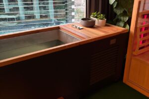 A large bathtub with a window and a plant, featured as a cold plunge at the Raw Lilly event.
