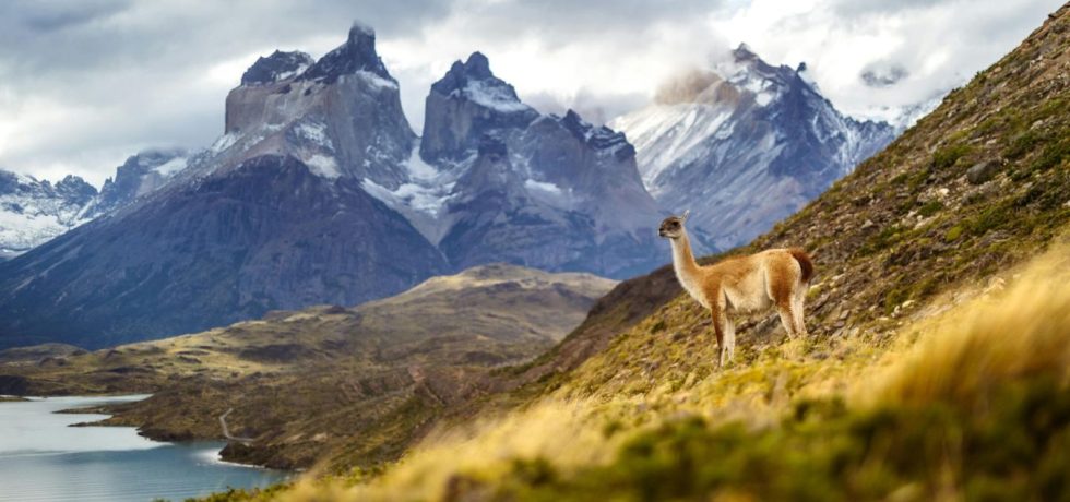 the-future-of-private-jet